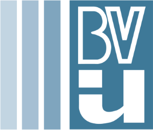 Bviu logo 1000x848hhh