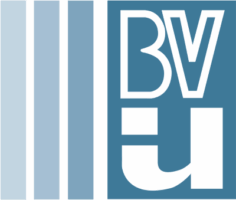 Bviu logo 1000x848hhh